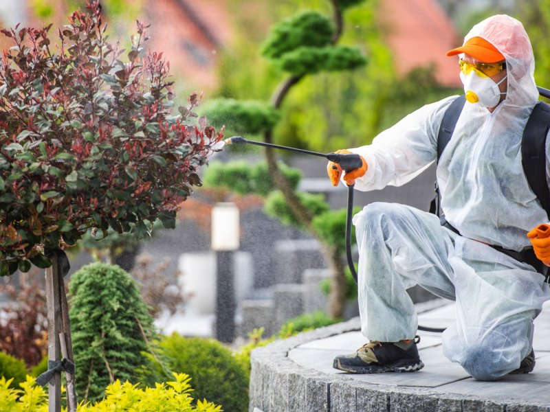 Palandöken Haşere İlaçlama